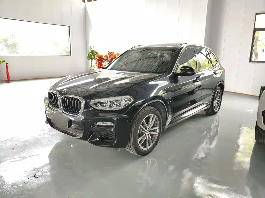 BMW X3 — миниатюра 2