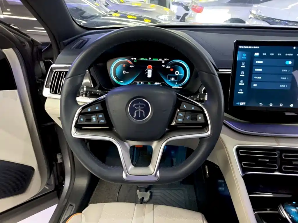 BYD PLUS New Energy — миниатюра 11