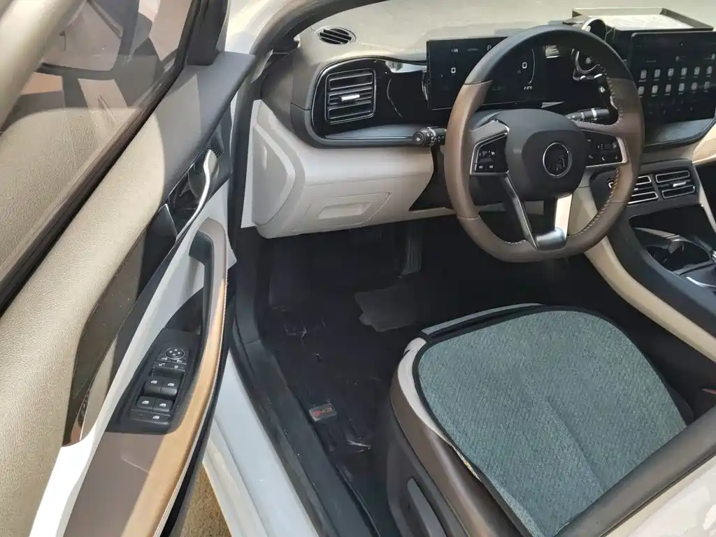 BYD Qin PLUS — миниатюра 17