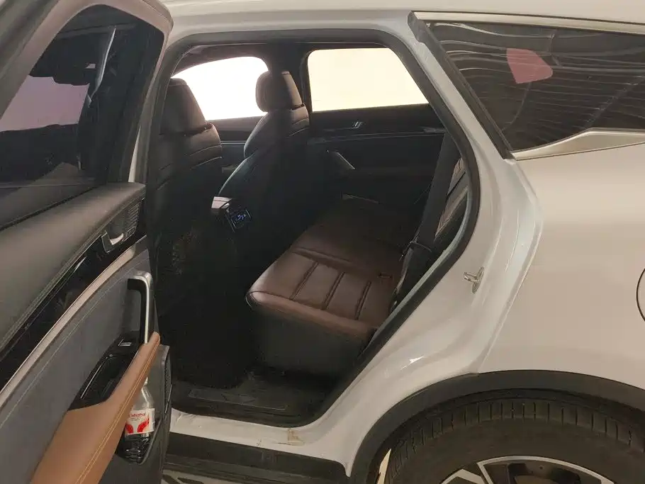 BYD Tang New Energy — миниатюра 11