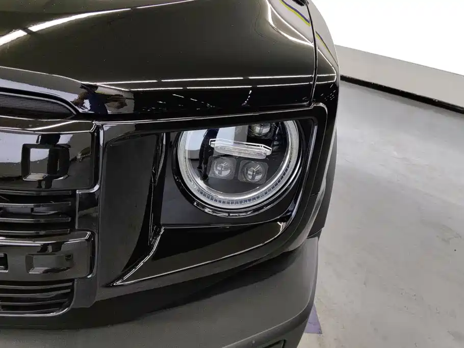 Haval Big Dog — миниатюра 5