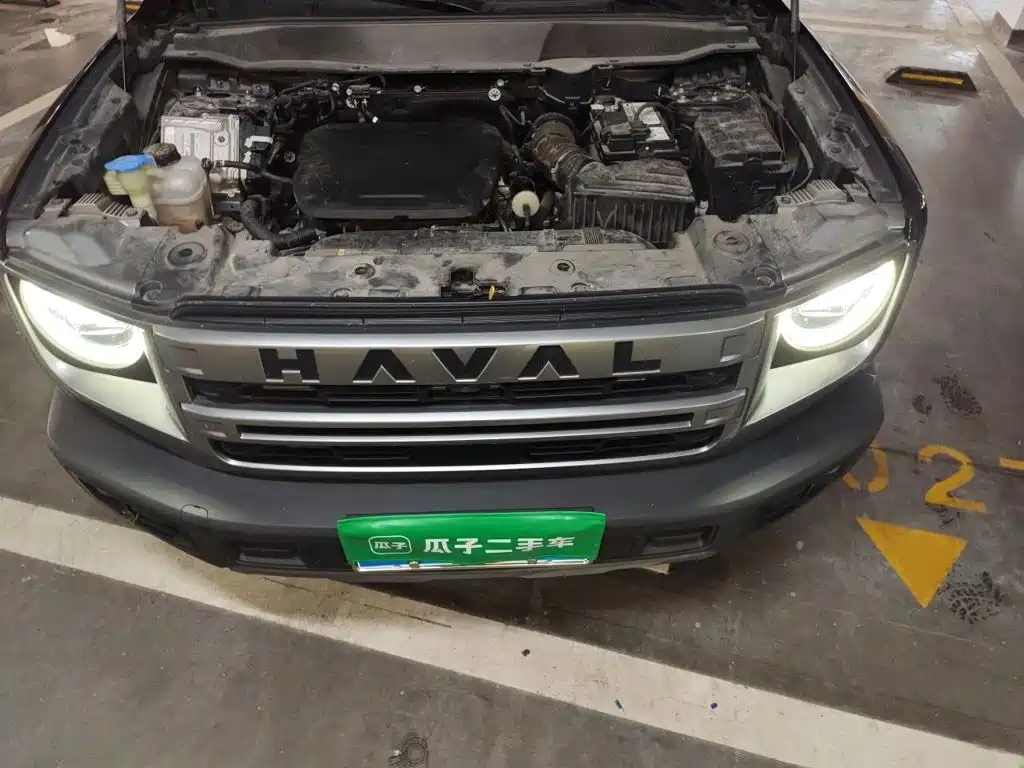 Haval Big Dog — миниатюра 11