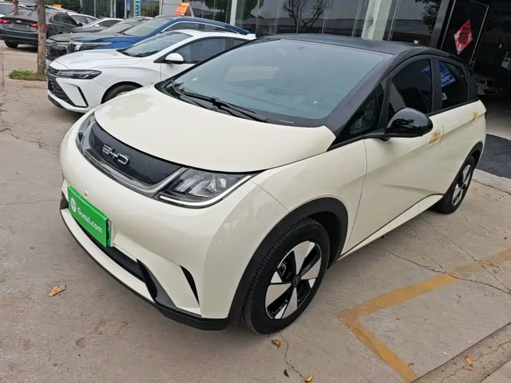 BYD Dolphin — миниатюра 2