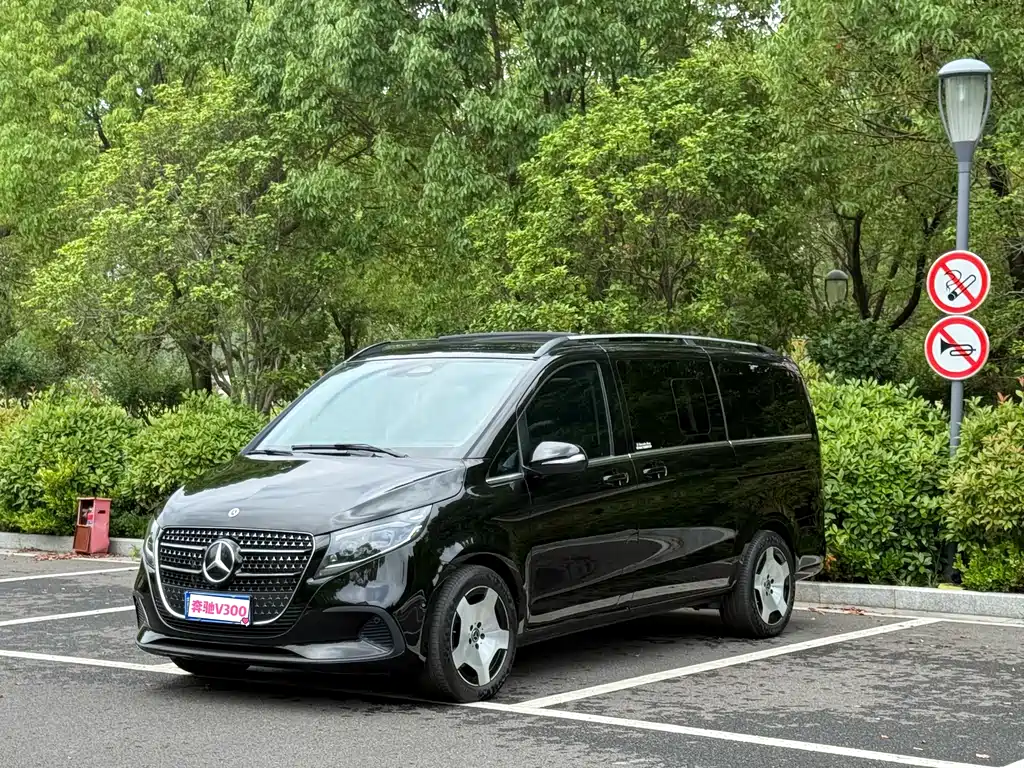 Mercedes-Benz V-Class V 2024 V 300