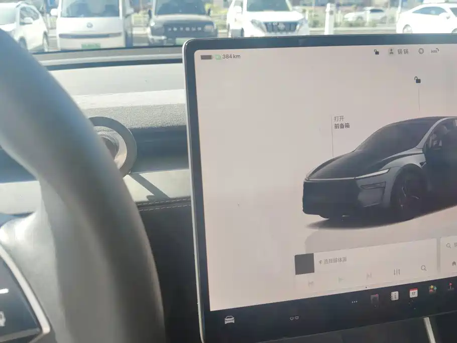 Tesla Model Y — миниатюра 16