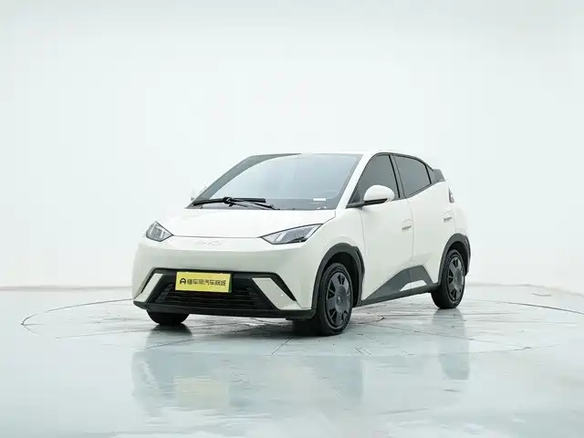 2024 BYD Seagull