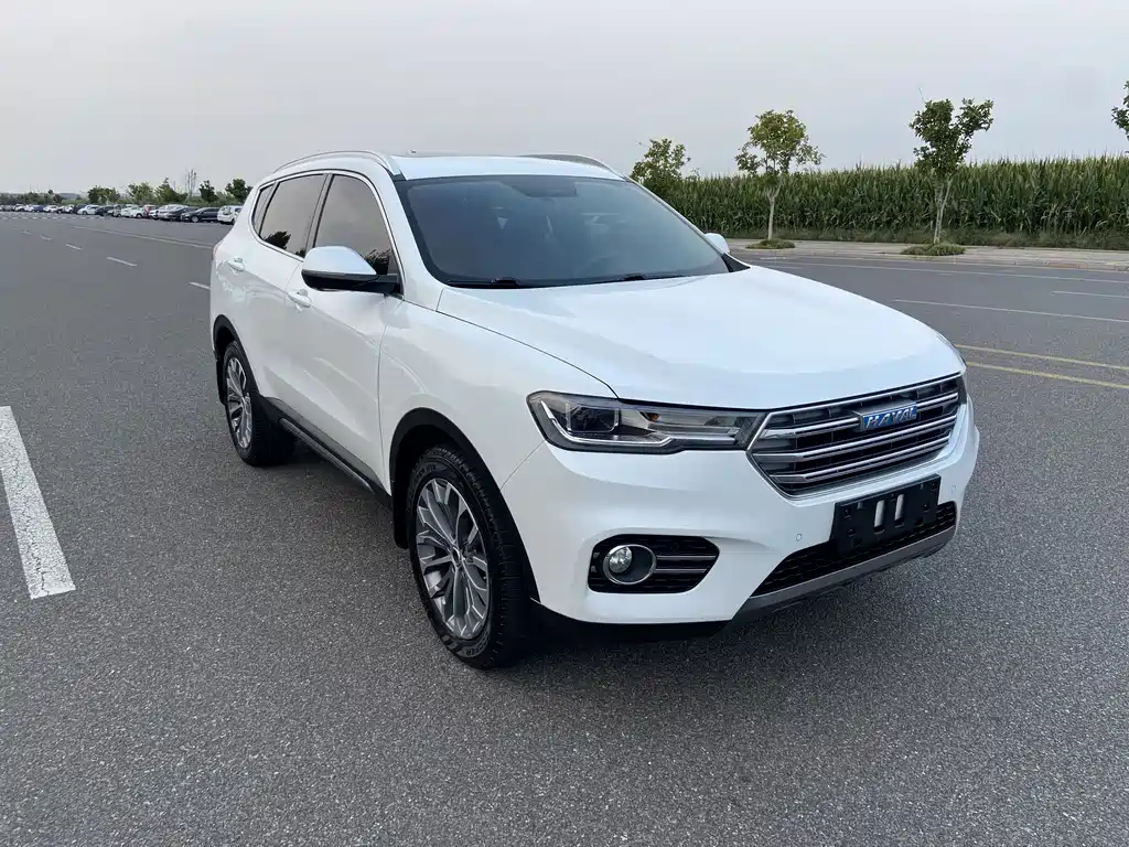 Haval H6 — миниатюра 3