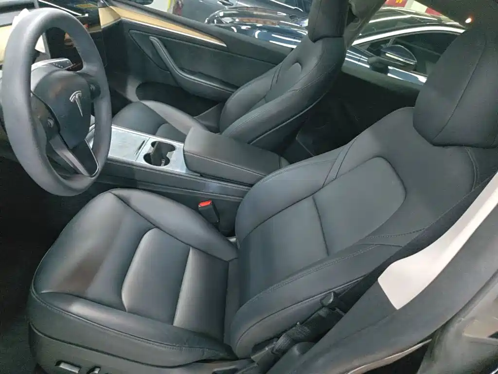 Tesla Model Y — миниатюра 15