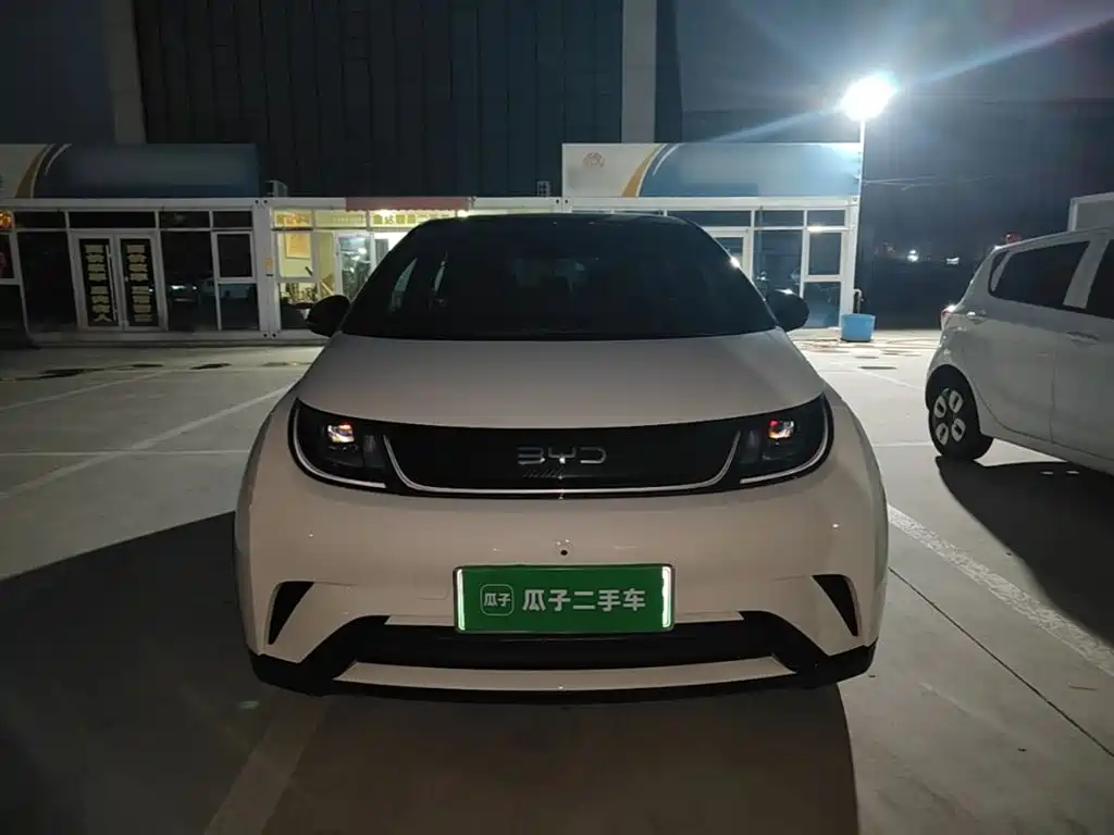 BYD Dolphin — миниатюра 3
