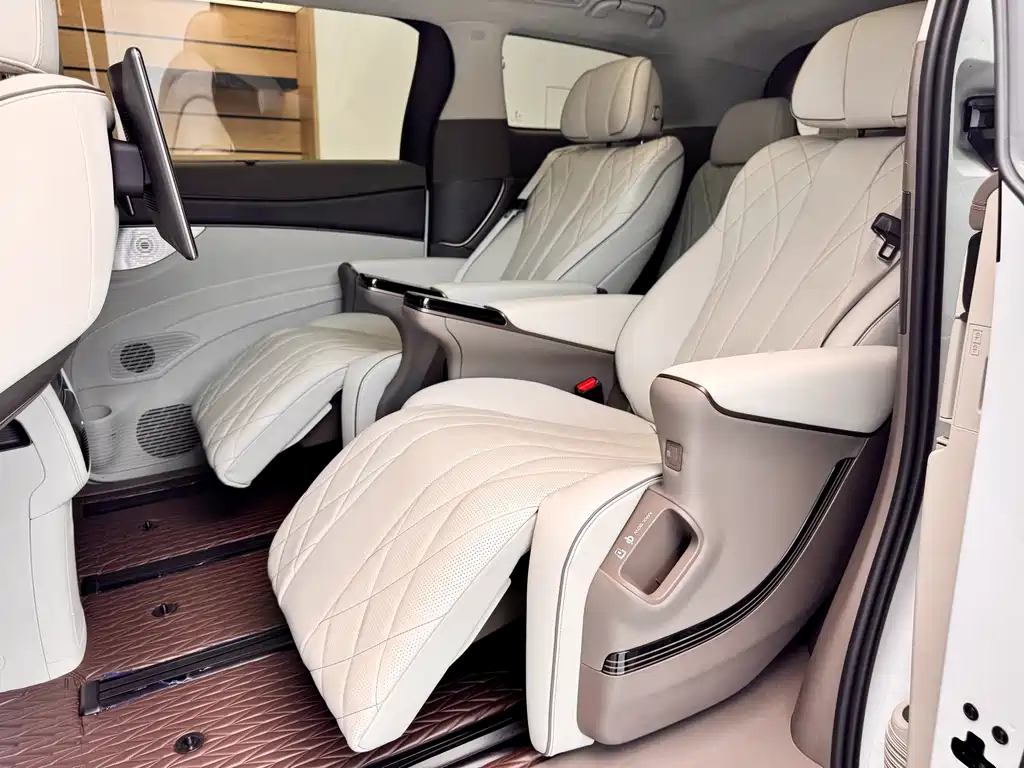 Denza Denza D9 — миниатюра 23