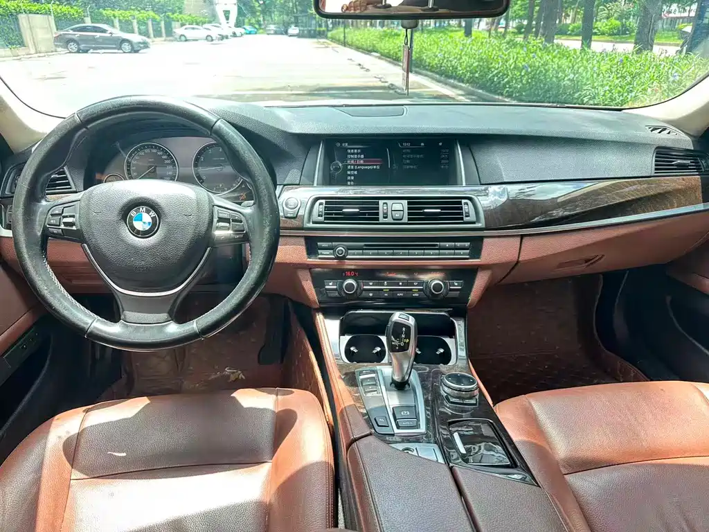 BMW 5 Series 5 2014 528Li Lead