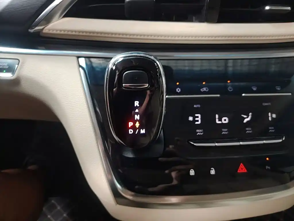 Buick GL8 — миниатюра 14