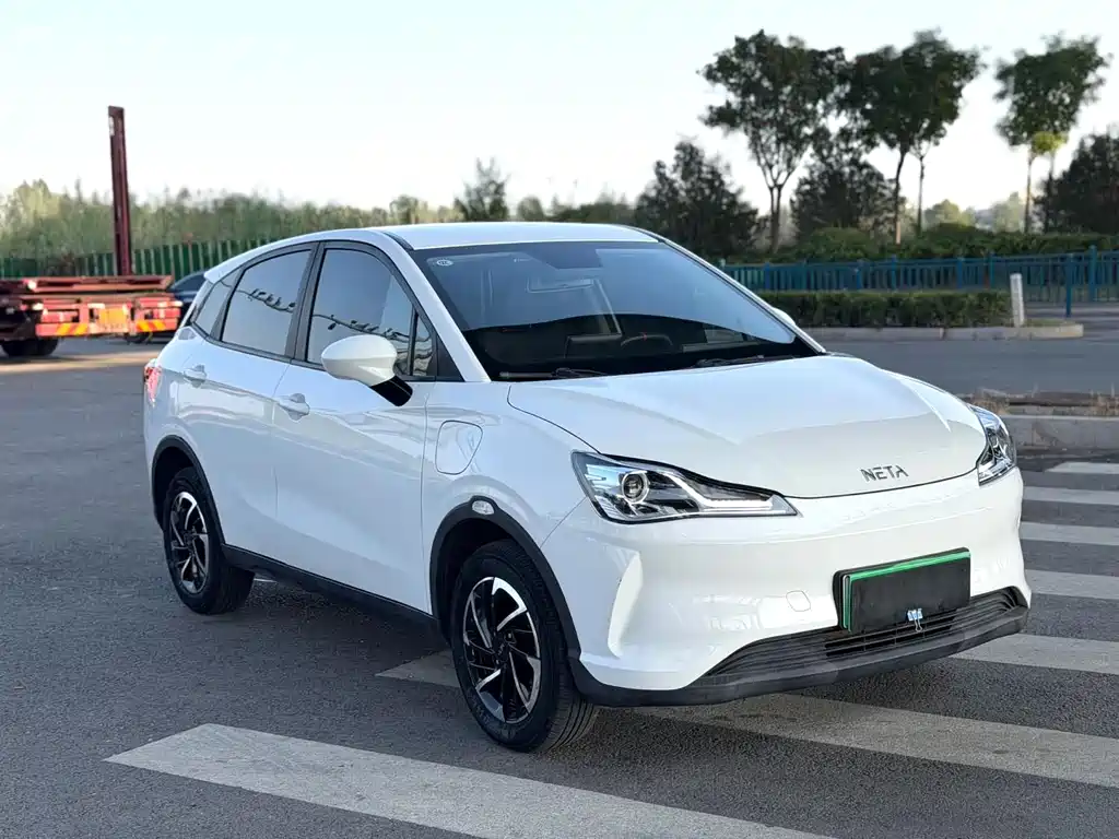 Neta Neta V — миниатюра 2