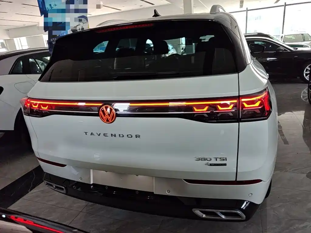 Volkswagen Tavendor — миниатюра 6