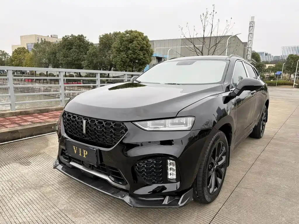 Купить Wey Wey VV7