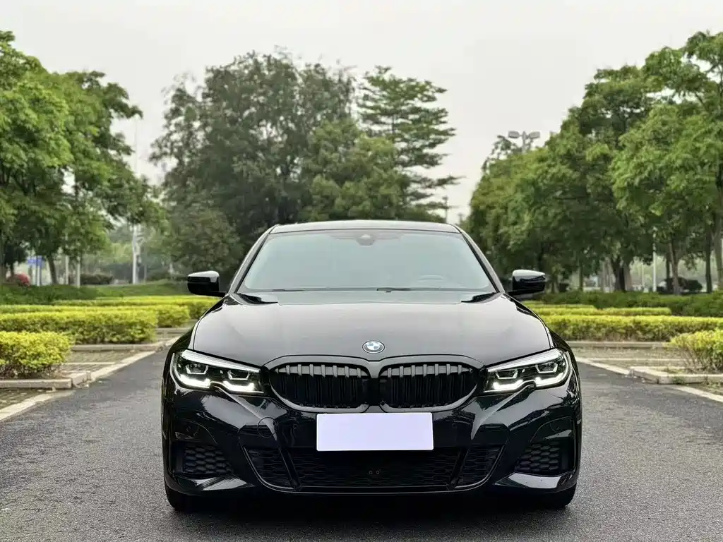BMW 3 Series 3 2022 325Li M Sport
