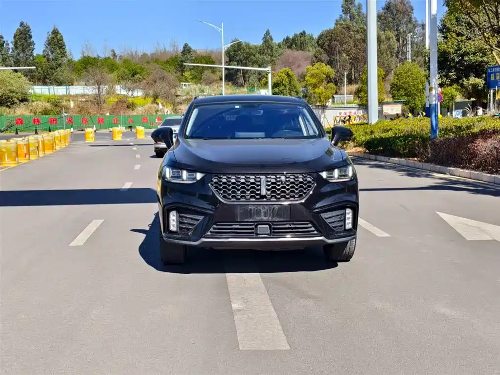 WEI PAI WEI BRAND VV5