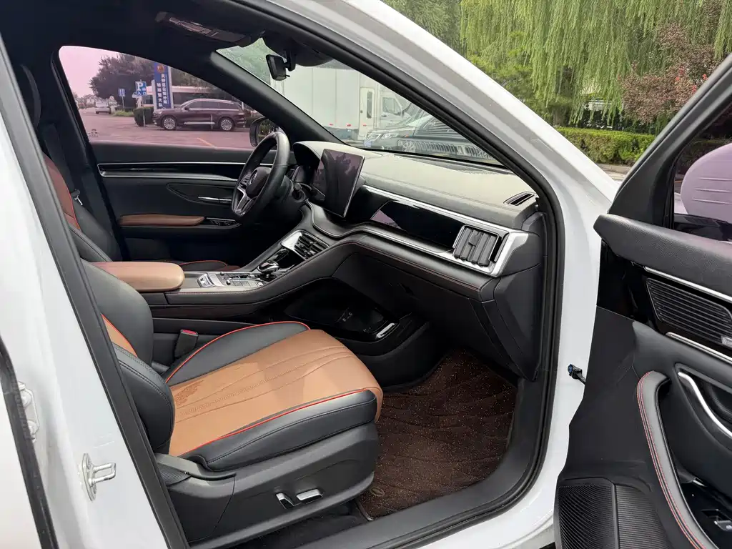 BYD PLUS — миниатюра 10