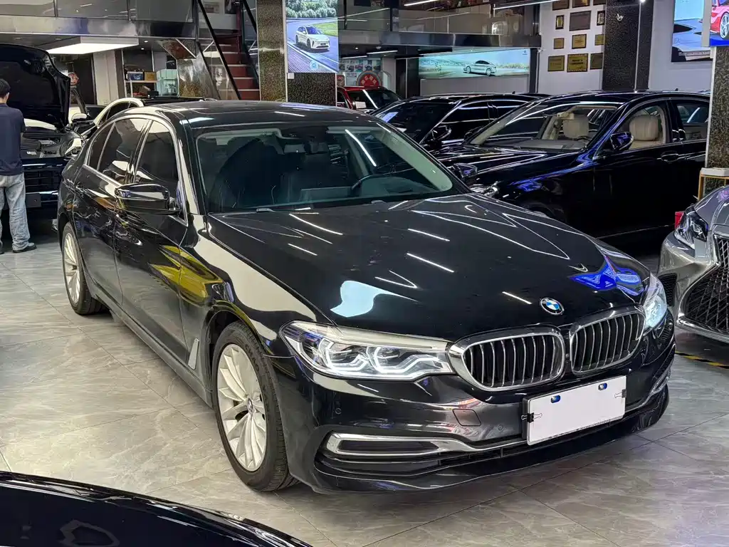 BMW 5 Series 5 2019 530Li Premium Luxury