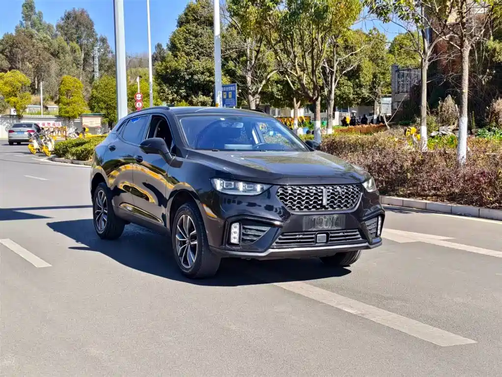 WEI PAI WEI BRAND VV5