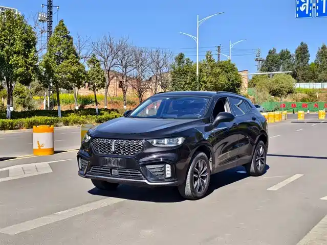 wei-pai wei-brand-vv5