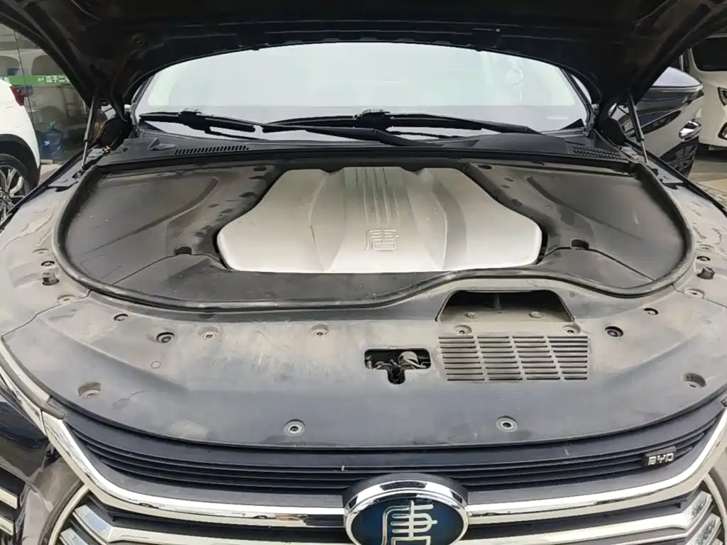 BYD Tang New Energy — миниатюра 20
