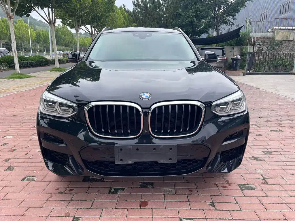 BMW X3 — миниатюра 2