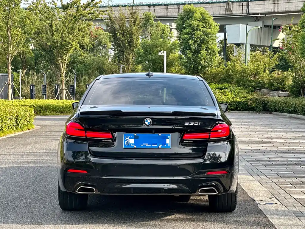 BMW 5 Series — миниатюра 5