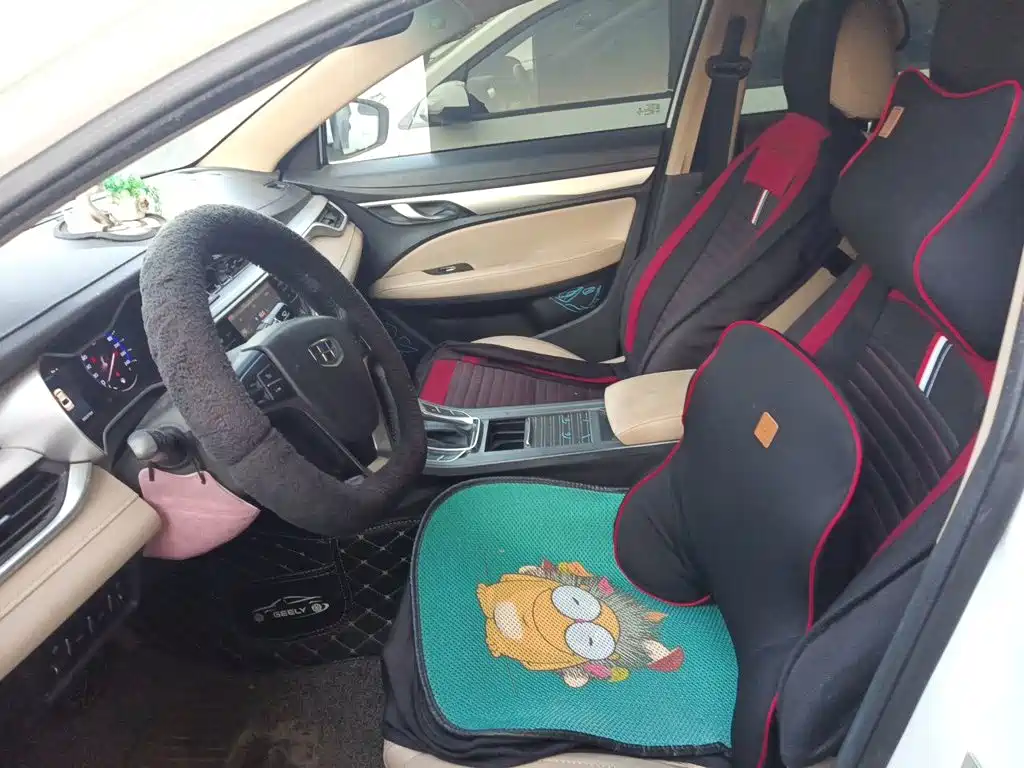 Geely Emgrand — миниатюра 16