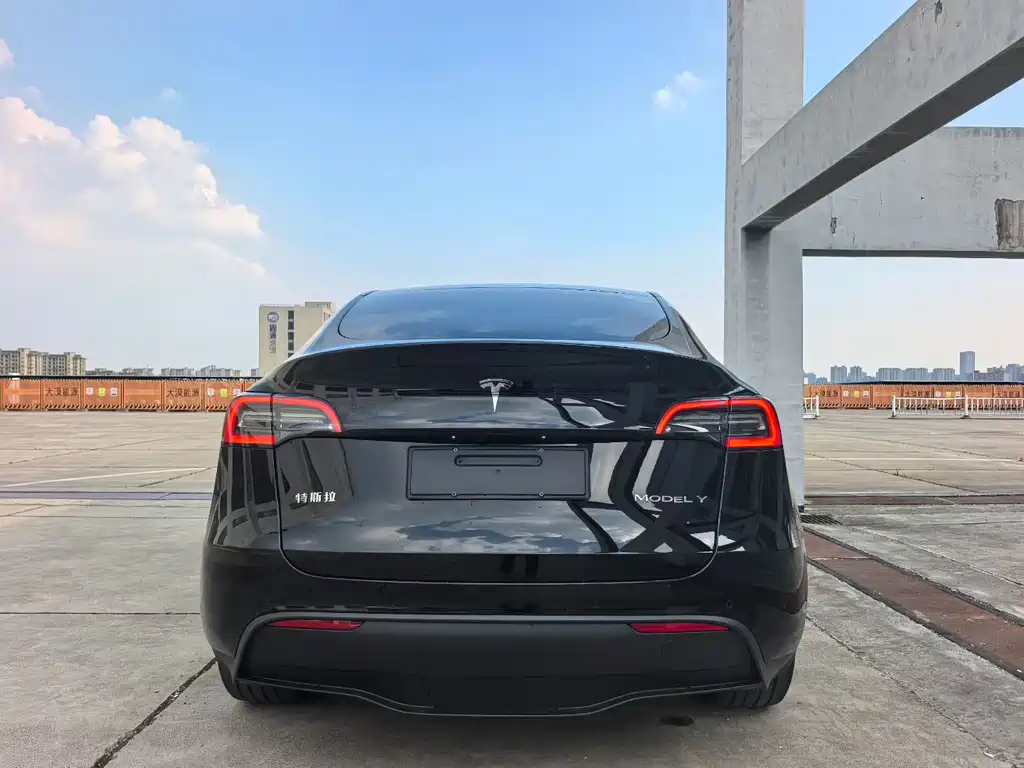 Tesla Model Y — миниатюра 8
