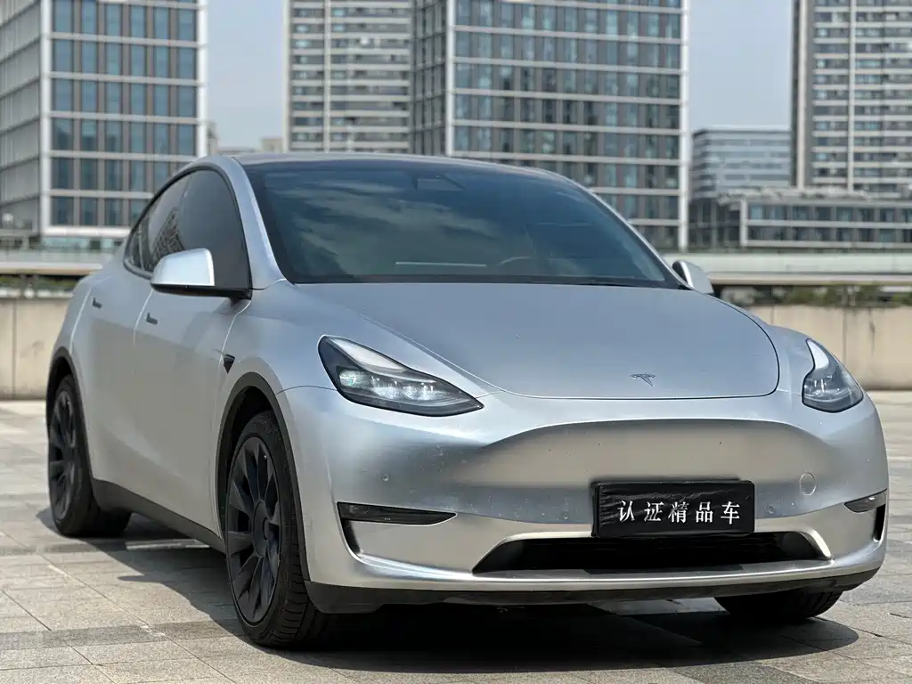 Tesla Model Y — миниатюра 3