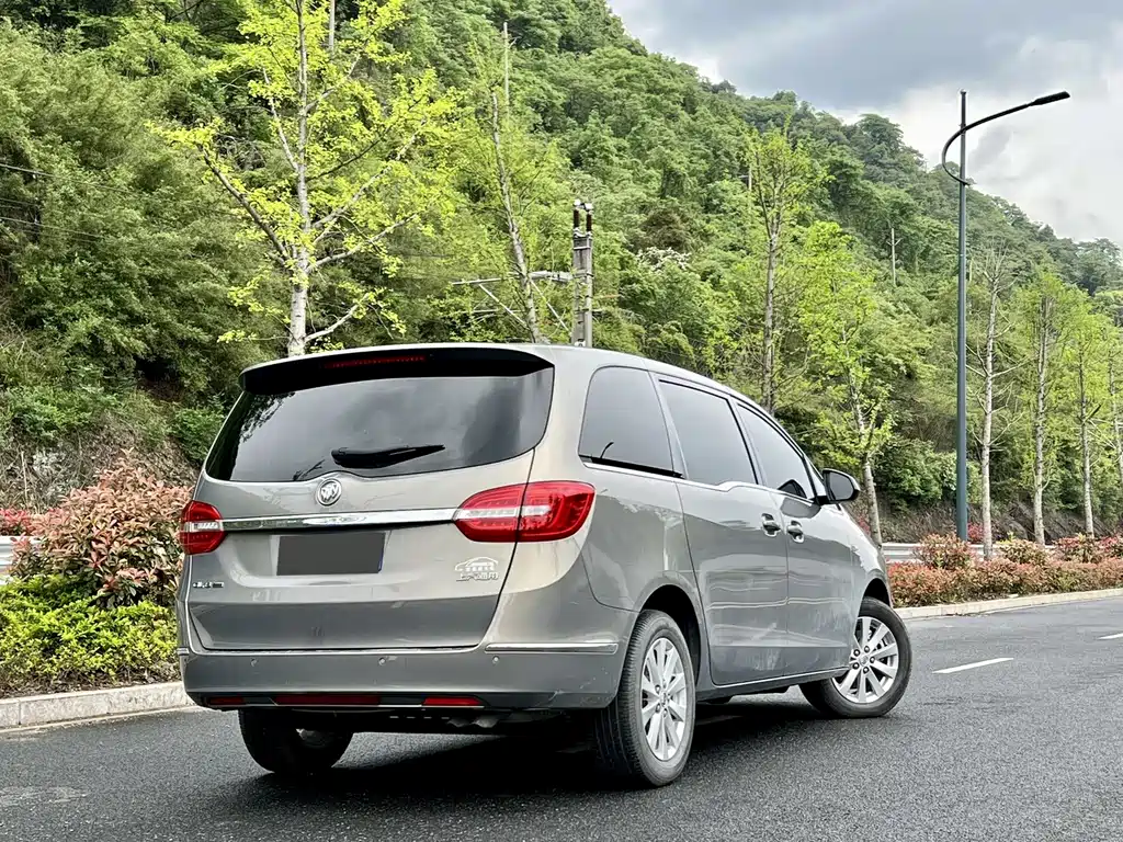 Buick GL8 — миниатюра 11