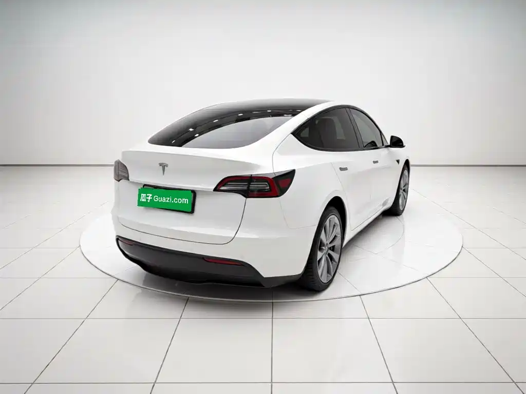 Tesla Model Y — миниатюра 6