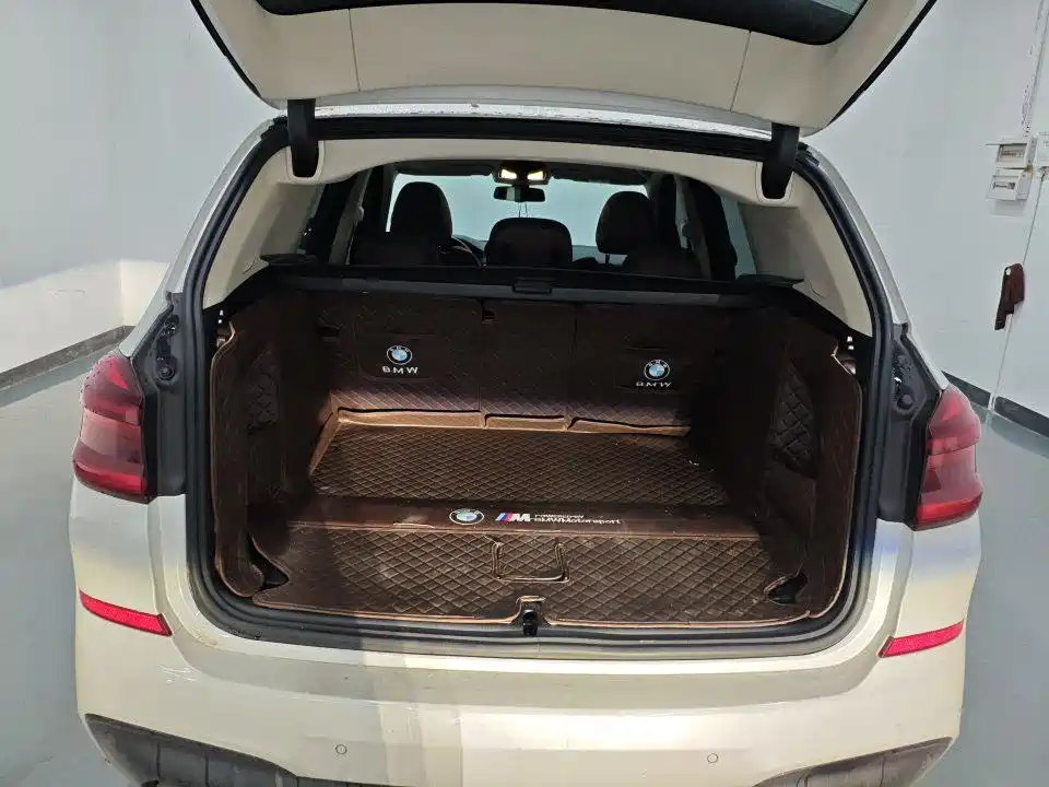 BMW X3 — миниатюра 8
