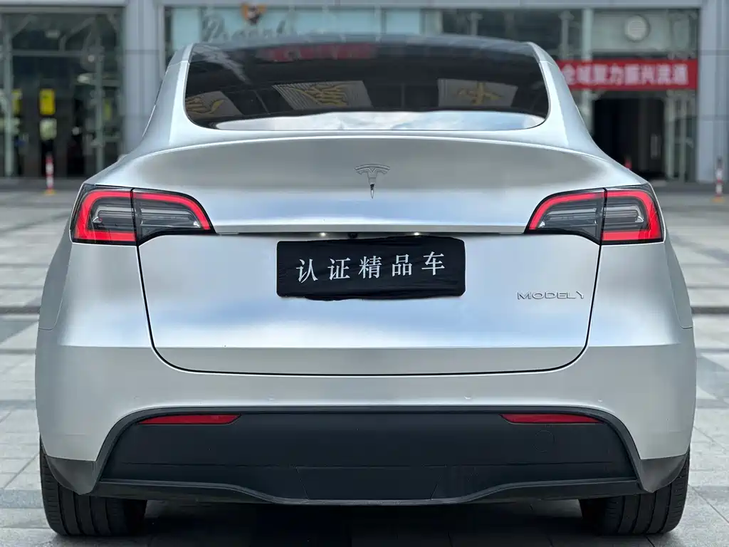 Tesla Model Y — миниатюра 4