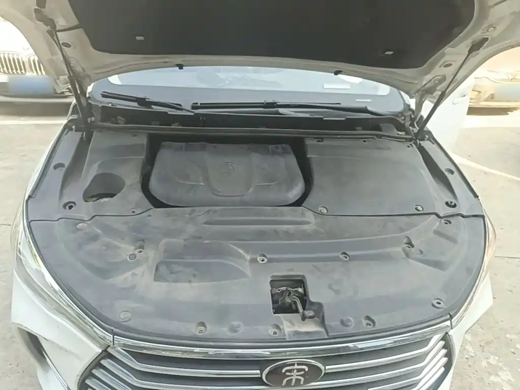 BYD MAX — миниатюра 20