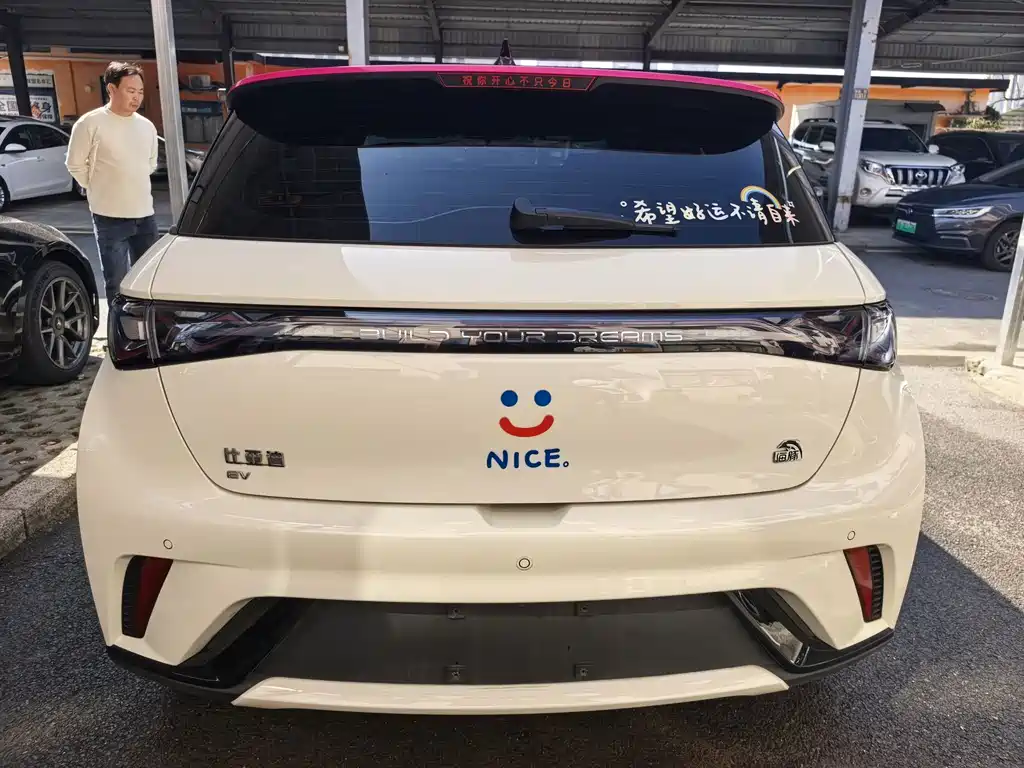BYD Dolphin — миниатюра 8