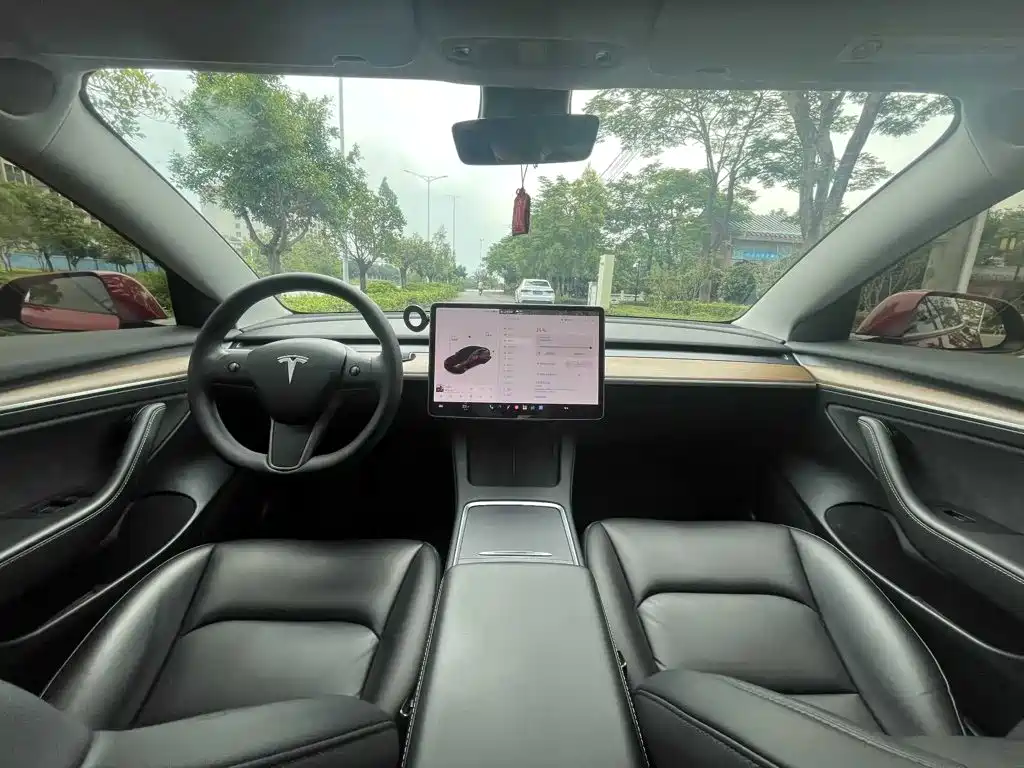 Tesla Model 3 — миниатюра 6