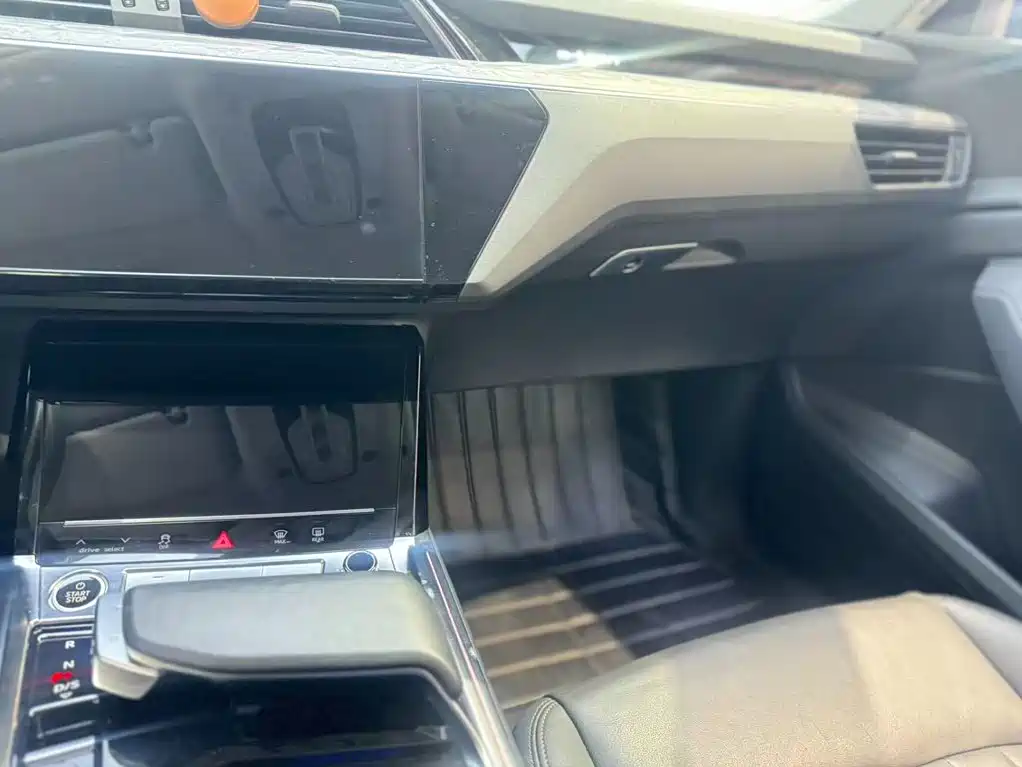 Audi e-tron (Import) — миниатюра 14