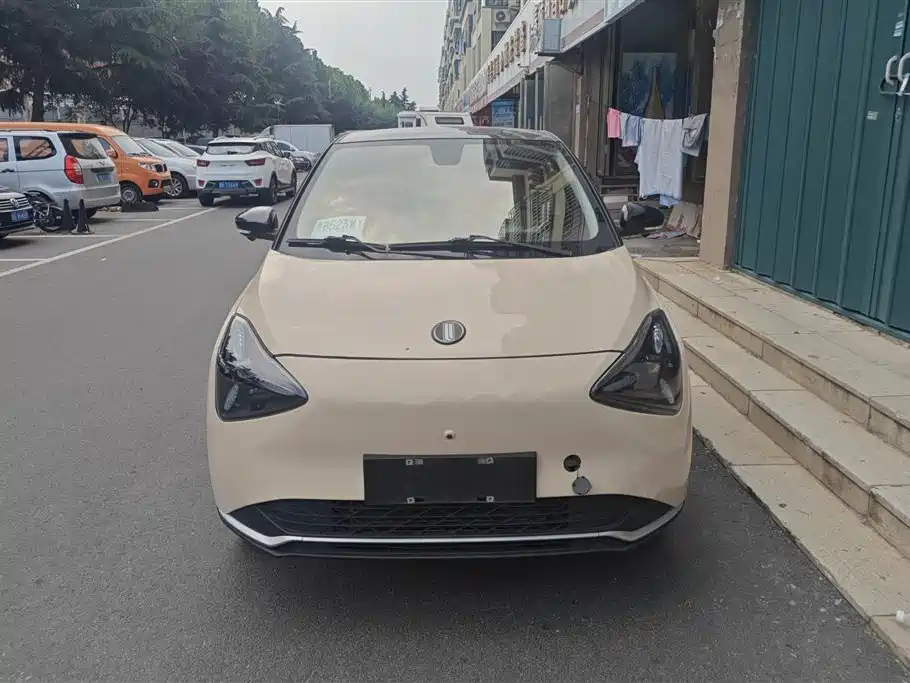 Dongfeng EV Радость 01 — миниатюра 2