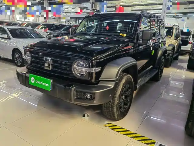 2025 TANK 300