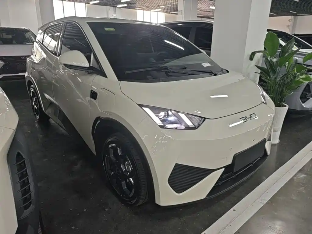 BYD Seagull 2025 Smart Drive 305km Freedom