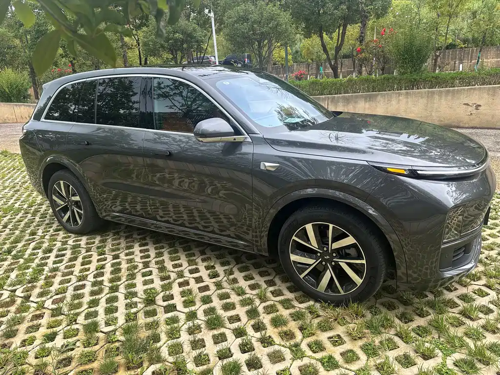 Li Auto Li L8 — миниатюра 4