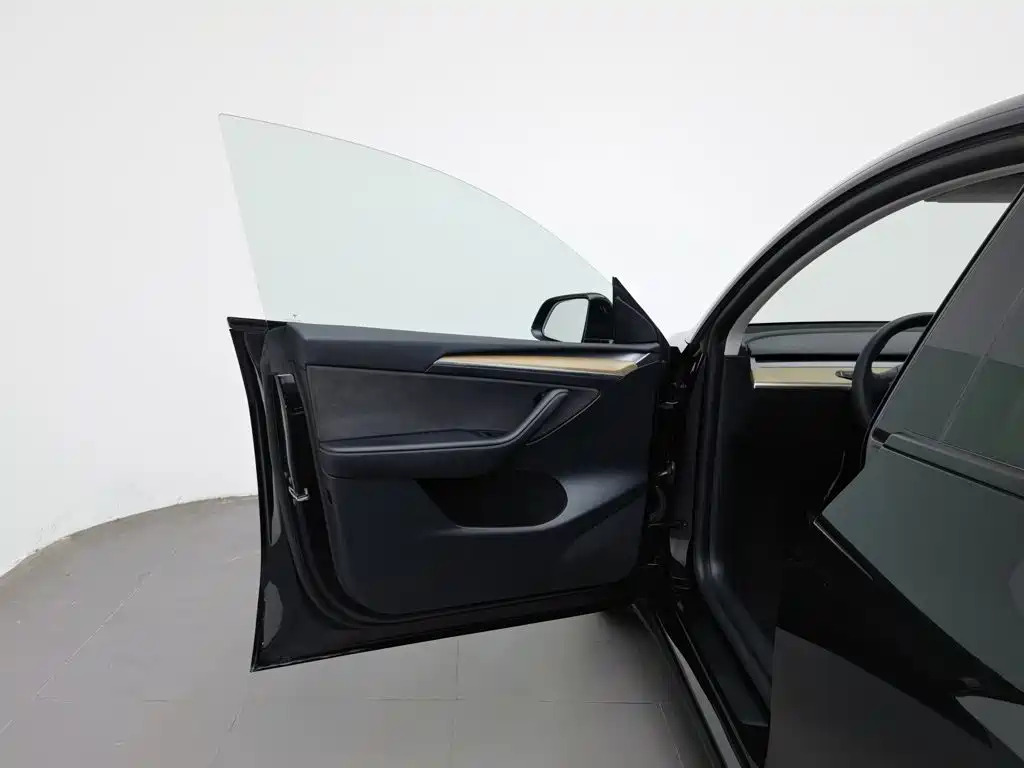 Tesla Model Y — миниатюра 8