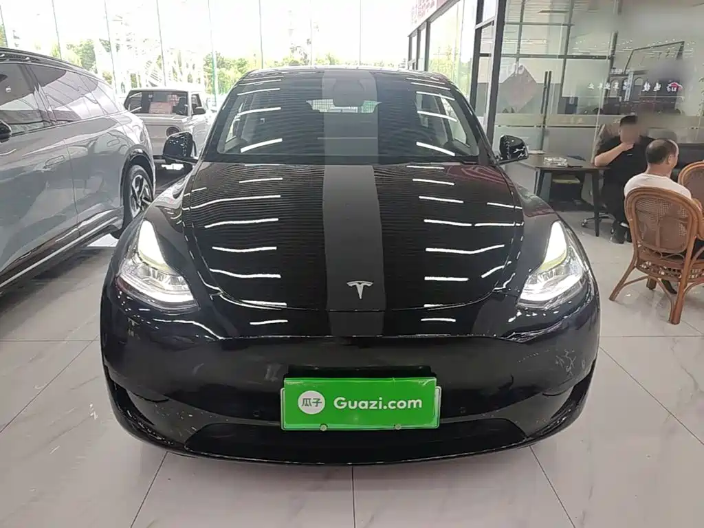 Tesla Model Y — миниатюра 3