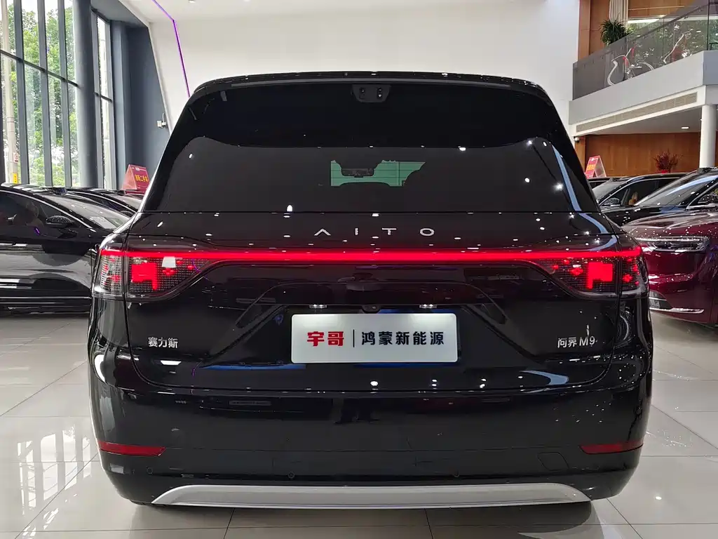 AITO Wenjie AITO M9 — миниатюра 19
