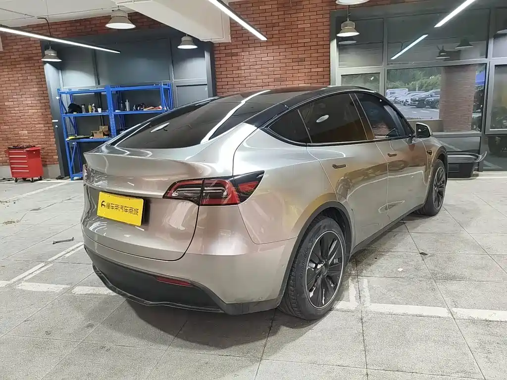 Tesla Model Y — миниатюра 4