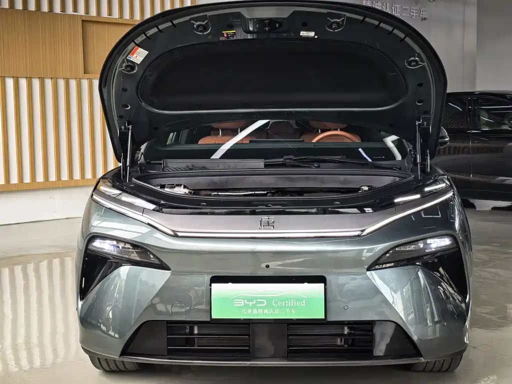 BYD Дон Л. — миниатюра 21