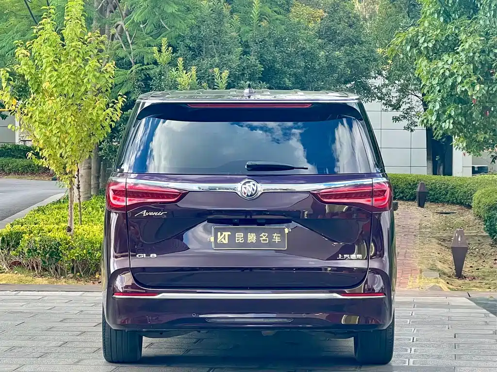Buick GL8 — миниатюра 5