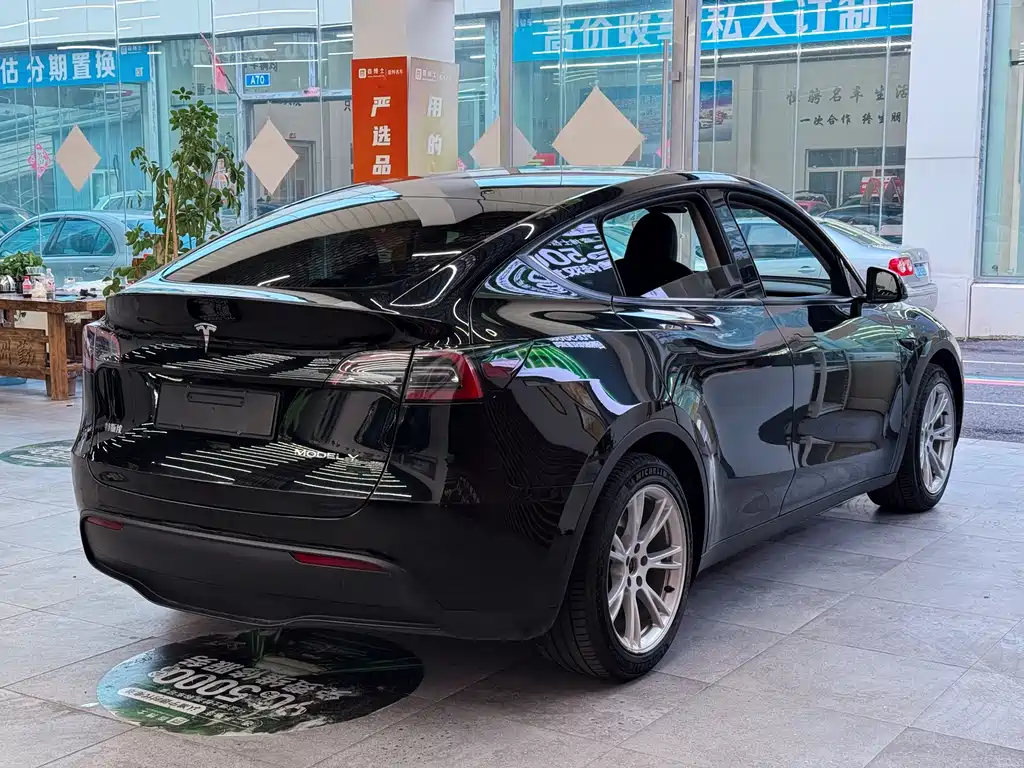 Tesla Model Y — миниатюра 7